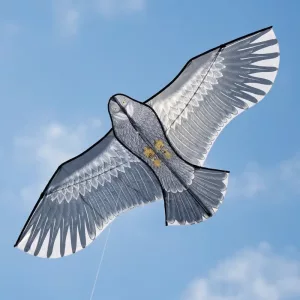 Aquilone aquila a filo singolo con maniglia per bambini