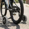 bike stabilizer wheels